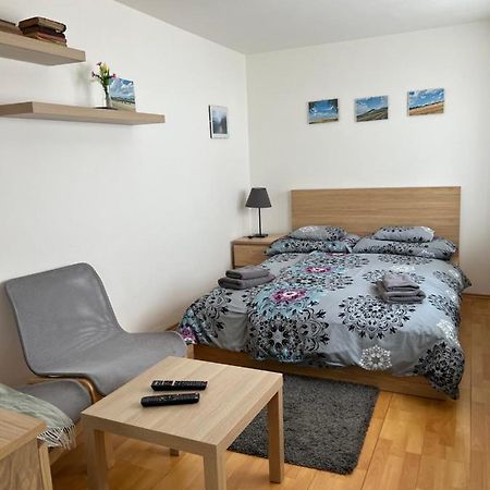 Cely Dum V Historickem Centru Loun Apartman Louny Kültér fotó