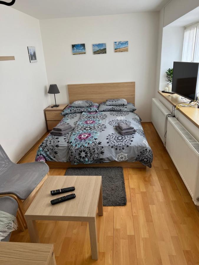 Cely Dum V Historickem Centru Loun Apartman Louny Kültér fotó